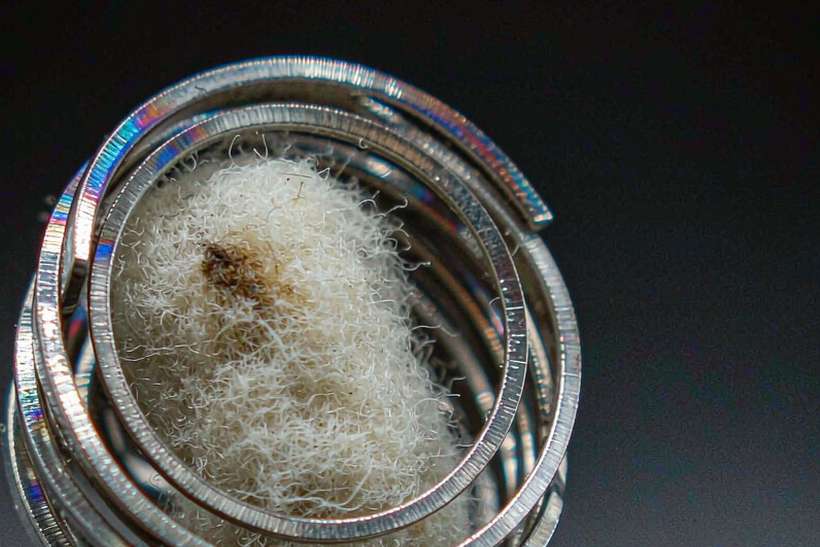 Comparison of Elektronna Ya Sisgareta pods Suppliers — Winter special