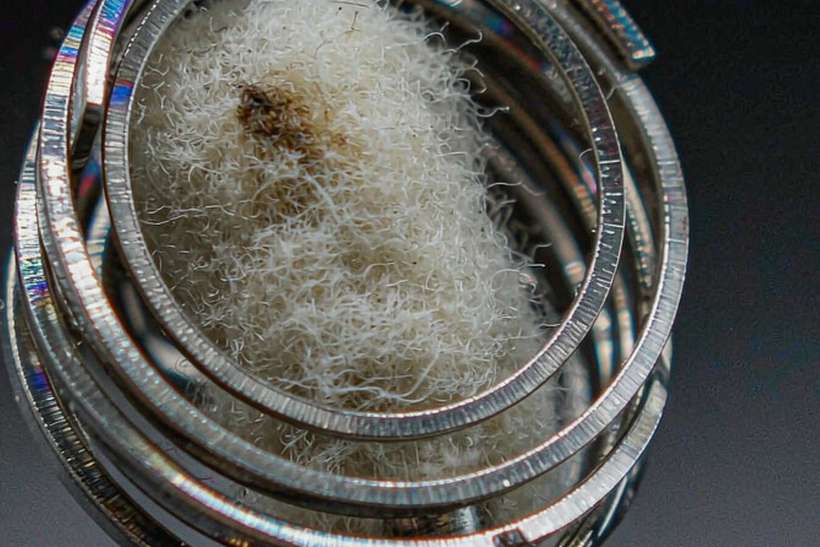 Flavor Catalog of Elektronna Ya Sisgareta bundles — bulk case