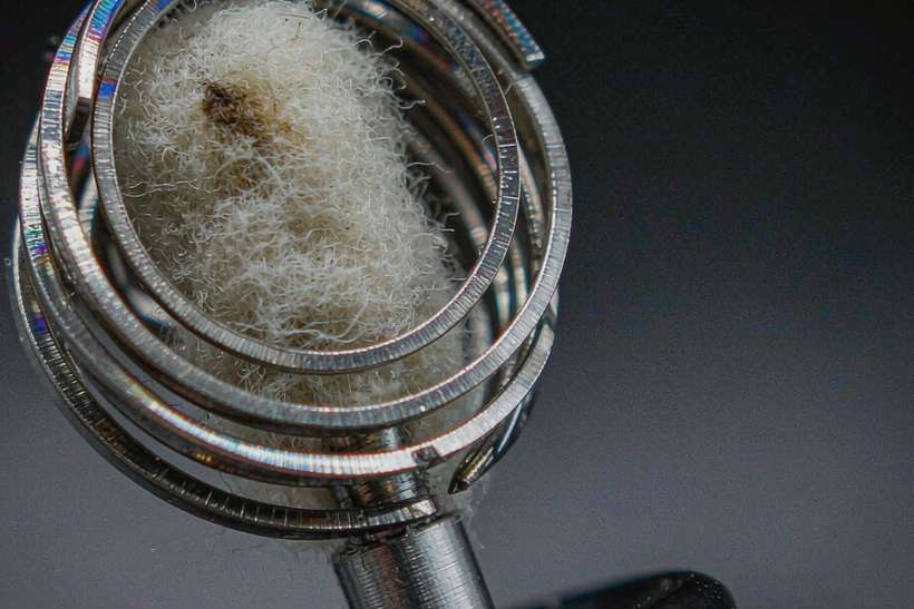 Regional Review of Elektronna Ya Sisgareta coils — Summer deals