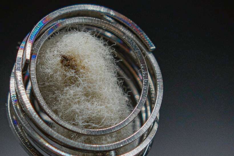 Regional Review of Elektronna Ya Sisgareta coils — US warehouse