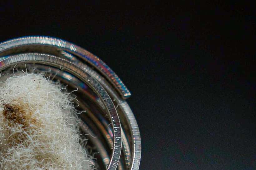 Regional Review of Elektronna Ya Sisgareta disposables — limited batch
