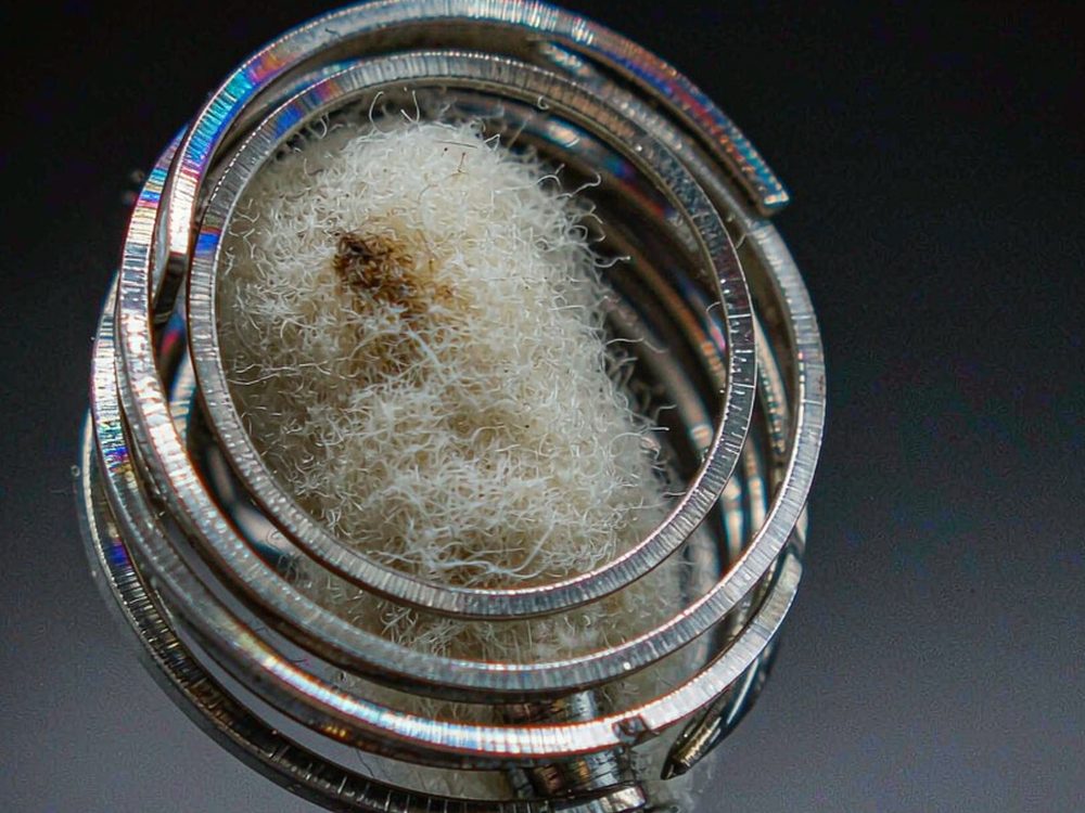 Regional Review of Elektronna Ya Sisgareta hardware — premium tier