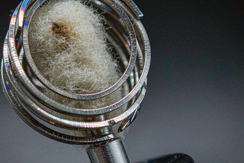 Sourcing Report on Bangkok Elektronna Ya Sisgareta — Winter special