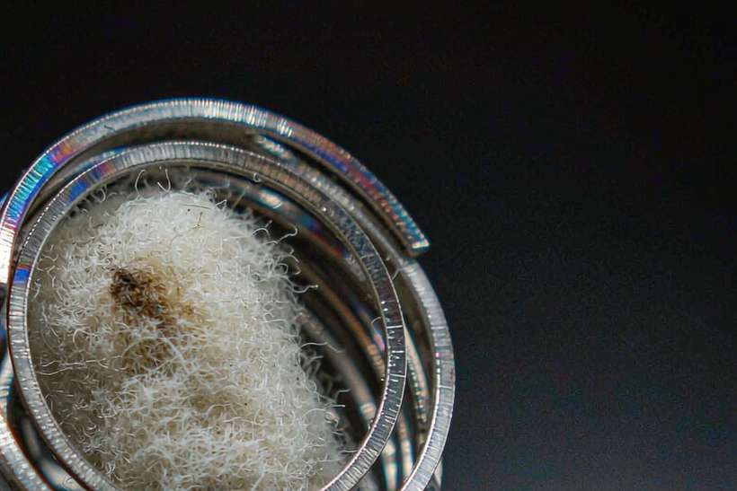 Sourcing Report on Elektronna Ya Sisgareta coils — US warehouse