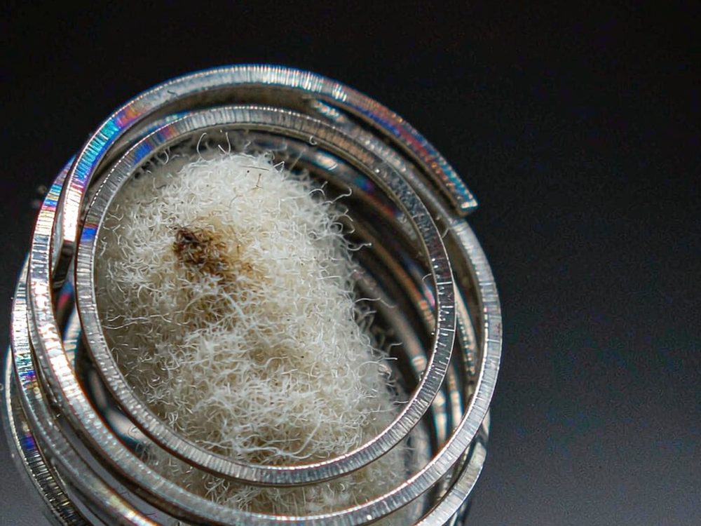 Trend Report on Elektronna Ya Sisgareta disposables — for resellers