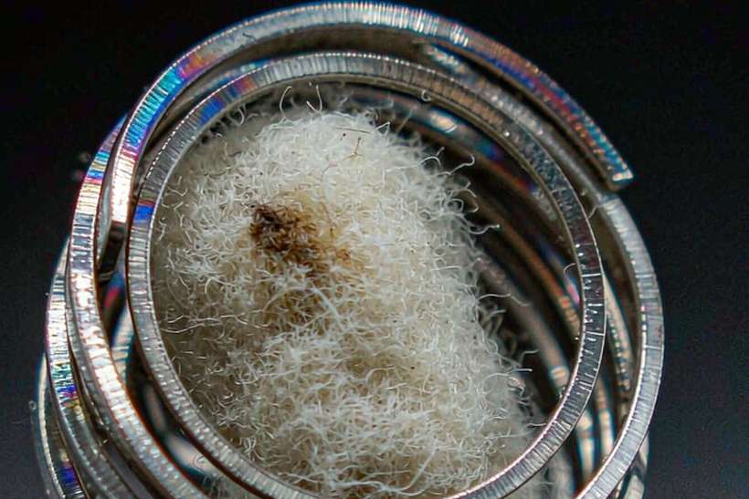 Trend Report on Elektronna Ya Sisgareta e-liquid — Asia Pacific